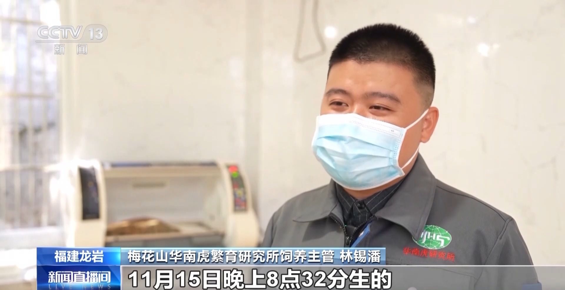 新生虎宝宝！华南虎种群再添新“丁”